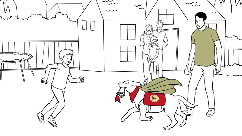Erklärvideo für Rehahunde
